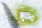 A car made of green powder and the shadow of plants on a light background. Online shopping. Flowers delivery concept