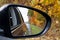 Car mirror autumn road reflection