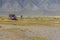 Car and motorbike on road in the desert mountain of the Mongolia