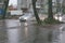 Car moving through the heavy rain and flooded concrete