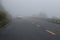 The car moving in on the road in heavy fog