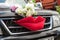 Car for newlyweds decorated with flowers and large artificial lips, honeymoon, original transport for newlyweds