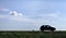 Car parked in a field