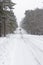 Car on remote snowy country road through trees