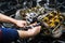 Car repair: overhaul of the V6 engine. Replacing drive chains