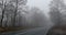 Car on a road in fog. Morning in foggy