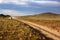 Car on road in the Mongolia