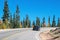 Car rounding curve on mountain highway with pine trees againstblue sk