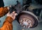 Car rusty brake rotor in automobile workshop photo with mechanic hands and tools