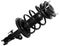 Car Shock Absorber assembly