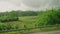 Car side window view of green coconut palm tree forest, rice fields terrace farming plantation. Train, road trip