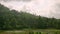 Car side window view of green coconut palm tree forest, rice terrace farming plantation. Train, road trip background on