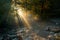 Car in the sunlight, making its way through the fog in the background of a mountain forest and a river