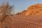 Car Track in the desert