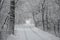 Car Tracks in Freshly Fallen Snow