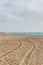 Car tracks on the sand going to the sea. Vertical shot. Nature landscape.