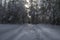 Car tracks after small snowy forest road in wintertime