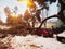 Car trapped under fallen branch or tree after Filomena snowstorm in January 2021 in Madrid, Spain