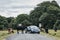 Car trying to drive around cows blocking the road in New Forest, National Park, Dorset, UK