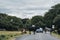 Car trying to drive around cows blocking the road in New Forest, National Park, Dorset, UK