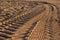 Car tyre prints on sand during the day, selective focus.