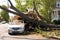 Car under a fallen tree after big storm. Generative AI