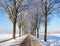 Car view snow landscape with a lane of trees