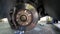 Car wheel brake rusty disc