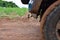 Car wheel off road with lots of dirt and terrain. car to rural areas. Modern blue car used for transport on farm. country