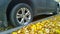 Car wheel on road. Close up. Yellow fallen dry leaves on asphalt. Golden autumn street. Travelling. Driving. Protection auto.