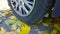 Car wheel on road. Close up. Yellow fallen maple leaves on asphalt. Golden autumn street. Travelling. Driving. Automobile hubcap.