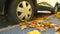 Car wheel on road. Yellow dry fallen maple leaves on asphalt. Golden autumn street. Travelling. Driving. Automobile hubcap.