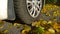 Car wheel on road. Yellow dry fallen maple leaves on asphalt. Golden autumn street. Travelling. Driving. Protection auto. Fall.