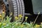 Car wheel standing on the green grass with yellow dandelions. Suitable for tire service and traveling