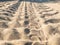 Car wheel tread trace on the sand