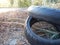 Car wheel tyre thrown away into the nature