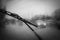 Car windshield wipers in rainy season, black and white photo with vignetting, front and rear background blurred with bokeh effect