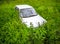 Car wreck in the middle of a field of weeds