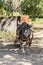 Carabao Buffalo in the Philippines