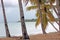 Caraibes and atlantic tropical sea, guadeloupe and martinique island