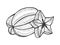 Carambola fruit sketch engraving vector