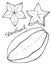 Carambola fruit or starfruit. Hand drawn cartoon fruits. Doodle drawing.