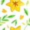 Carambola and green leaves drawings seamless pattern.