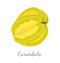 Carambola or Starfruit Exotic Fruit Vector Icon