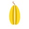 Carambola yellow healthy organic sweet plant vector icon. Summer vegan fruit shape flat symbol