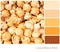Caramel Popcorn Palette