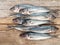 Carangidae fishes on the gray wooden board