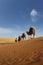 Caravan of camel in the sahara desert