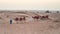 Caravan with Camels in the Arabian Desert