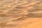 Caravan of Camels in Erg Chebbi Sand dunes near Merzouga, Morocco